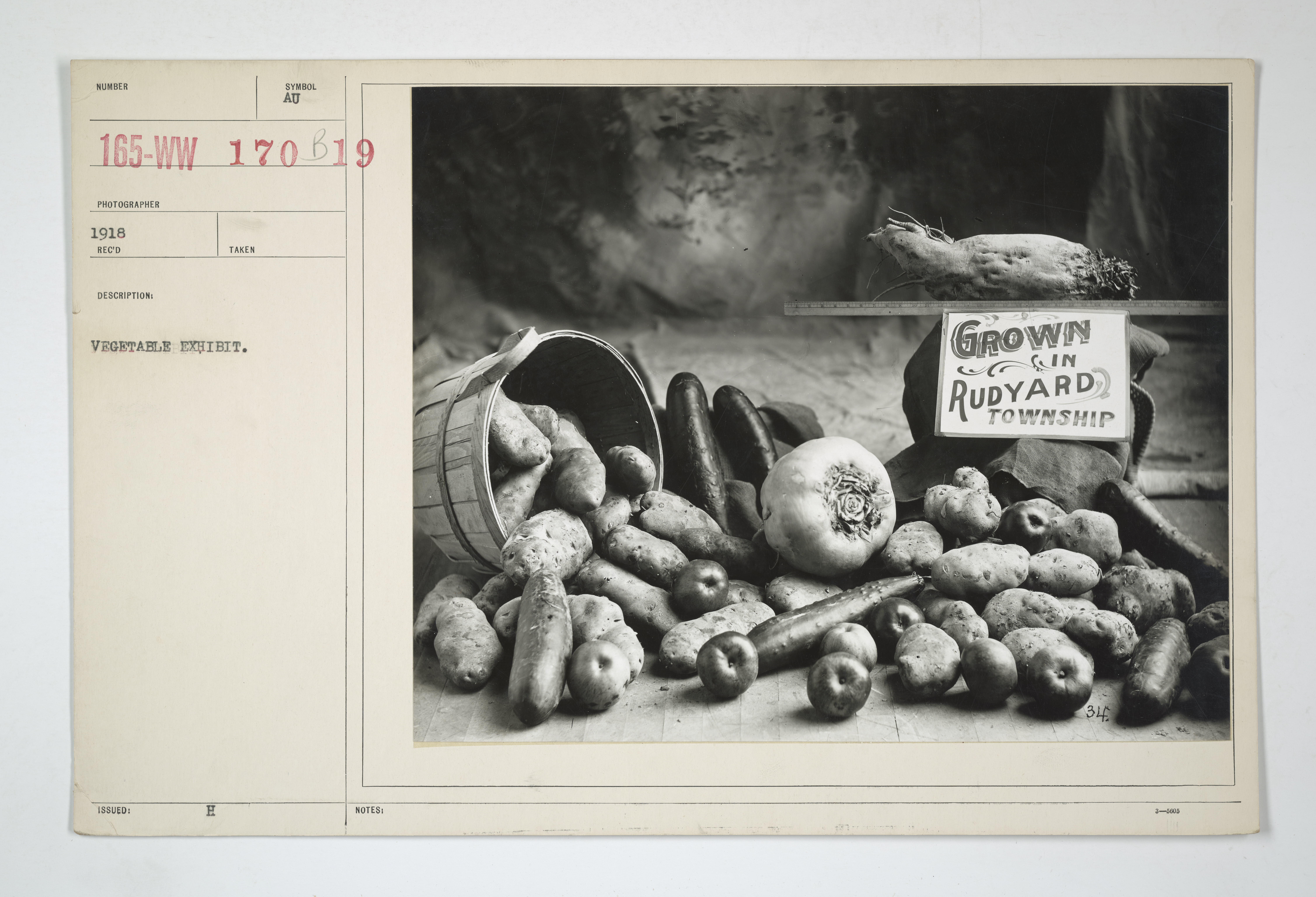 Food Administration - Education - Vegetable exhibit