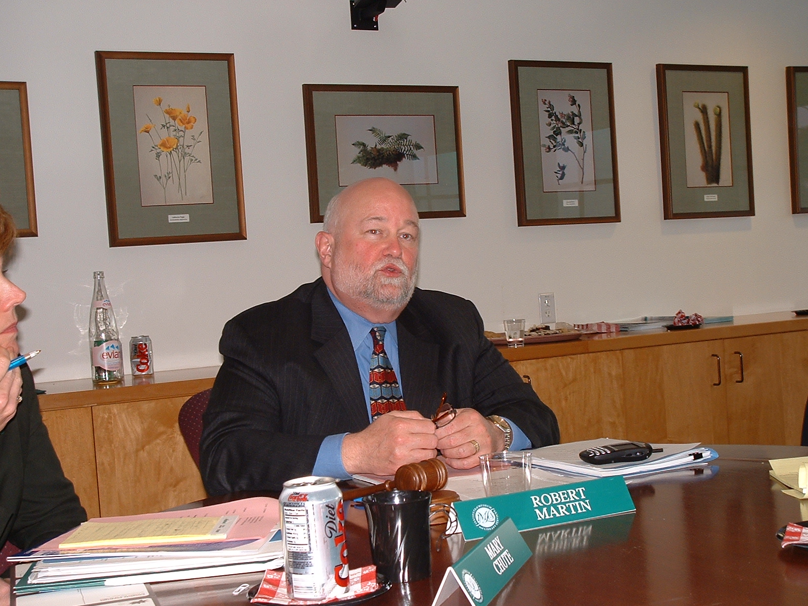 National Museum and Library Services Board Meeting - Bob Martin (IMLS)